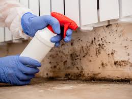 Best Commercial Mold Inspection  in Columbus, OH